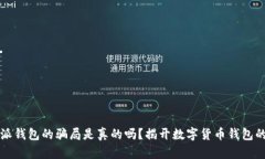 比特派钱包的骗局是真的吗？揭开数字货币钱包