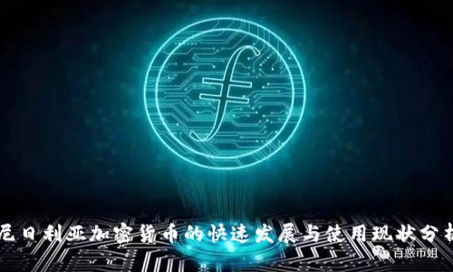 尼日利亚加密货币的快速发展与使用现状分析