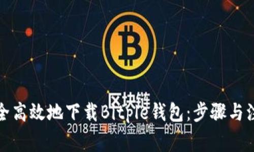 如何安全高效地下载Bitple钱包：步骤与注意事项