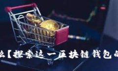 比特派是什么？探索这一区块链钱包的功能与优