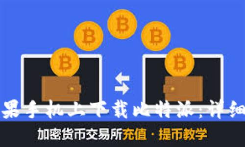 如何在苹果手机上下载比特派：详细操作指南