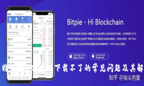解决比特下载器安卓版下载不了的常见问题及其解决方案