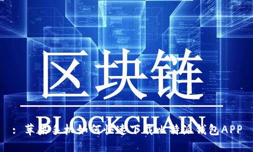 : 苹果手机如何快速下载比特派钱包APP