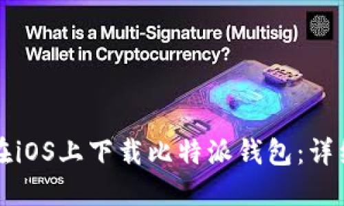 如何在iOS上下载比特派钱包：详细指南
