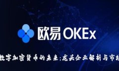 中国数字加密货币的未来：龙头企业解析与市场