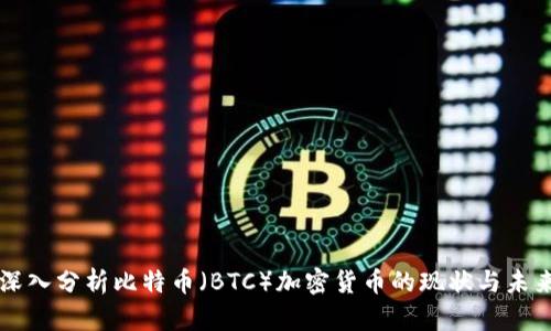 深入分析比特币（BTC）加密货币的现状与未来