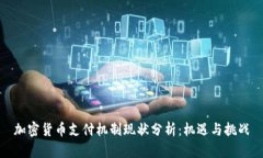 加密货币支付机制现状分析：机遇与挑战