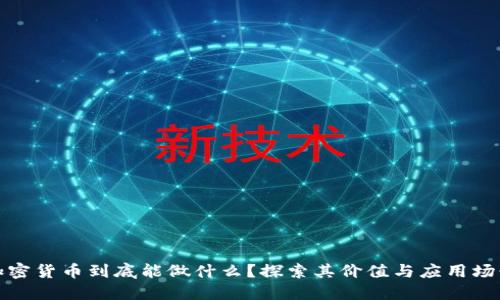 加密货币到底能做什么？探索其价值与应用场景