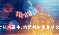 在去年全球金融风暴中，俄罗斯加密货币究竟能