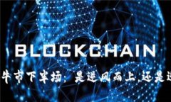 加密货币牛市下半场： 是逆风而上，还是迎风腾