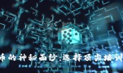 揭开加密货币的神秘面纱：选择顶尖培训机构的