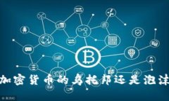 迈阿密：加密货币的乌托邦还是泡沫的温床？