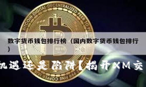 你的投资选择：是机遇还是陷阱？揭开XM交易加密货币的真相