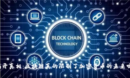 揭开真相：区块链真的限制了加密货币的未来吗？