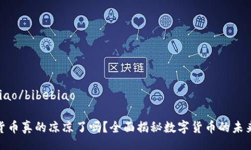 bibebiao/bibebiao

加密货币真的凉凉了吗？全面揭秘数字货币的未来之路