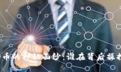 揭开加密货币的神秘面纱：谁在背后操控资金流