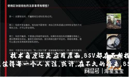 tiaoti为何BSV能改变你对加密货币的认知？/tiaoti  
加密货币, BSV, 区块链/guanjianci  

引言：加密货币的世界  
近年来，加密货币如雨后春笋般涌现，然而在华美的表象背后，许多投资者仍旧感到困惑：这些数字货币究竟如何运作？其中，Bitcoin SV（BSV）这个名字似乎时常出现在市场新闻的头条，令人忍不住想要探究其中的奥秘。  
BSV的故事并不仅仅是关于一种数字货币，它更像是一个生动的案例，反映了加密货币领域的激烈竞争与深刻变革。在分析BSV之前，我们首先需要了解加密货币的发展历程和其背后的哲学理念。  

加密货币的演变：从比特币到BSV  
加密货币始于比特币（BTC），这是大多数人熟知的数字货币。自2009年诞生以来，比特币以其去中心化、安全性以及匿名性吸引了大量用户。然而，随着用户规模扩大，比特币的交易速度和可扩展性问题逐渐显露，这使得许多其他加密货币应运而生。  
在众多衍生币中，BSV的重要性不容忽视。BSV的全称是Bitcoin Satoshi Vision，诞生于比特币的分叉，旨在恢复中本聪（Satoshi Nakamoto）所设想的愿景——一个全球性的、可扩展的、具有高度实用性的数字现金系统。  

BSV的核心理念：重构比特币的本质  
BSV的支持者们坚持认为，真正的比特币应当允许用户进行快速、低成本的交易，并且支持复杂的智能合约和去中心化应用（DApps）。而这些功能在BSV的设计中得到了充分关注。  
BSV的技术基础来自于提高区块大小限制，理论上，这样会使得网络能够处理更多的交易。与其他加密货币相较，BSV的目标在于实现极高的交易吞吐量，为更广泛的使用场景铺平道路。  

实际应用案例：BSV塑造未来  
BSV并不仅停留在理论层面，它在现实世界中的应用越来越广泛。以维系商业交易为例，部分企业已经开始接受BSV作为支付手段，例如一些在线商店及服务平台。  
此外，BSV也被用于数据存储和智能合约。举个例子，某些项目已经利用BSV区块链技术开发出可追溯的供应链管理系统，这为透明度和效能的提升提供了切实的解决方案。  

面对的挑战与质疑：BSV的未来之路  
尽管BSV有许多亮点，但也不是没有挑战。首先，由于其理念与主流比特币社区存在巨大分歧，BSV常常面临来自传统比特币支持者的批评。他们认为，BSV的高区块大小可能会导致中心化的问题。  
此外，BSV在市场推广方面也需要付出额外努力。尽管其技术亮点不少，但普通用户的认知和接受度仍然有限，教育宣传的必要性不言而喻。  

如何加入BSV生态：实用指南  
如果你对BSV的未来充满期待，并希望参与其中，以下是一些具体的步骤可以帮助你入门：  
ol  
    li了解基础知识：熟悉区块链、加密货币的基本概念和运作方式。/li  
    li选择交易所：注册一个支持BSV交易的加密货币交易所，进行买卖转换。/li  
    li获取钱包：下载支持BSV的钱包应用，安全地存储你的BSV资产。/li  
    li关注新闻动态：保持对BSV和整个加密货币市场的动态了解，及时调整你的投资策略。/li  
/ol  

结语：拥抱变化的未来  
加密货币的世界正处于快速变革之中，BSV作为其中的一个重要角色，以其独特的愿景和实践为用户提供了新的选择。无论是 من技术角度还是应用层面，BSV都在不断探索与创新。  
面对充满机遇与挑战的未来，理解BSV不仅是理解它作为加密货币的角色，更是理解当今数字经济的方向。这个虚拟货币的旅程，值得每一个人关注。或许，在不久的将来，BSV将成为你理财工具箱中不可或缺的一部分。无论是简单的支付，还是复杂的商业解决方案，BSV都在为你提供精彩的可能性。  