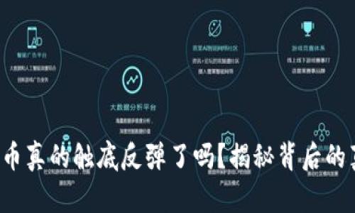 加密数字货币真的触底反弹了吗？揭秘背后的真相与挑战！