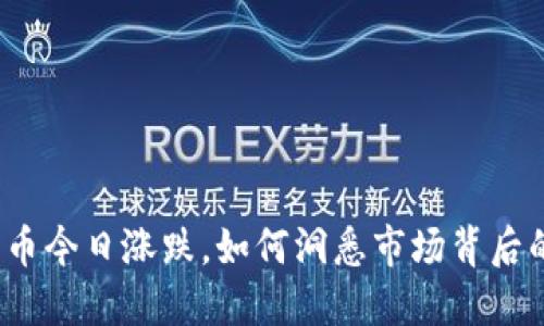 加密货币今日涨跌，如何洞悉市场背后的玄机？