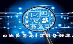 加密货币：自由还是禁忌？你准备好迎接挑战了