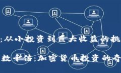 加密货币：从小投资到巨大收益的挑战之旅从0