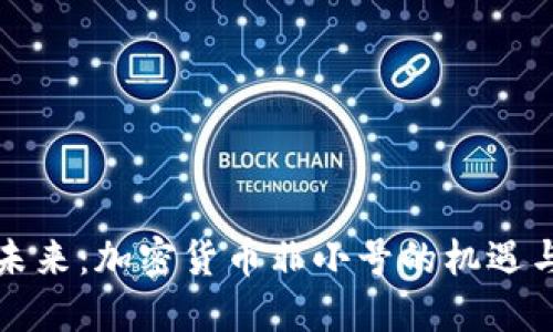 拥抱未来：加密货币非小号的机遇与挑战