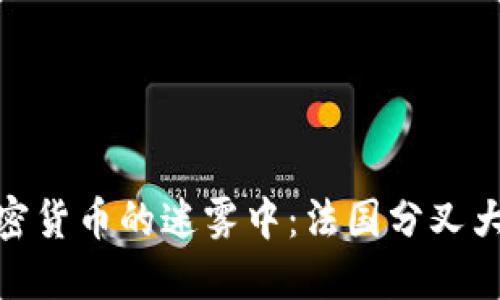 在加密货币的迷雾中：法国分叉大揭秘