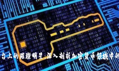 区块链舞台上的璀璨明星：深入剖析加密货币领域中的关键角色