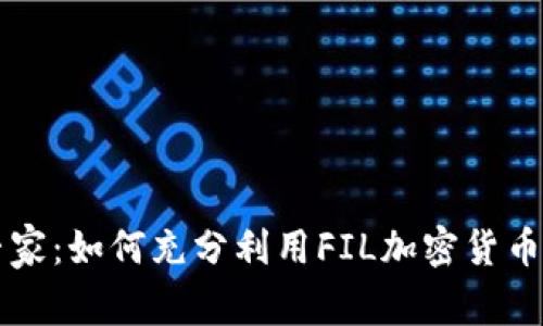 从新手到专家：如何充分利用FIL加密货币应用的潜力