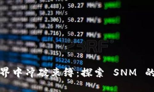 在加密世界中冲破束缚：探索 SNM 的无限可能