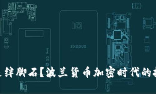 破局者还是绊脚石？波兰货币加密时代的挑战与机遇