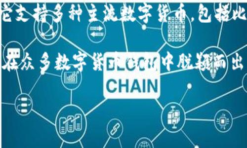 Bitp Wallet（比特皮钱包）是由比特皮科技有限公司开发的一款数字货币钱包。该公司总部位于中国，专注于区块链技术和数字货币的存储、交易相关产品的开发。

Bitp Wallet 的设计初衷是为用户提供一个安全、便捷且用户友好的数字资产管理平台。它支持多种主流数字货币，包括比特币、以太坊等，用户可以通过该钱包轻松管理和交易自己的数字资产。

该钱包的特点包括安全性高、私钥由用户掌握、支持多种币种和交易功能等，这些设计使其在众多数字货币钱包中脱颖而出。随着区块链技术的发展和数字货币的逐步普及，Bitp Wallet 在用户中越来越受到欢迎。

如果你对比特皮钱包有更多具体的问题或者需要更深入的了解，欢迎提问！