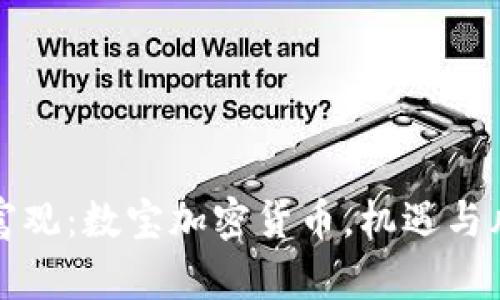 颠覆你的财富观：数宝加密货币，机遇与风险的双刃剑