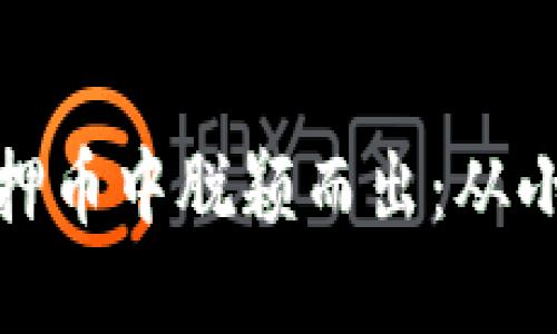 如何在加密货币的质押币中脱颖而出：从小白到高手的挑战之旅