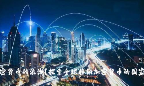 谁在迎接加密货币的浪潮？探索全球接纳加密货币的国家挑战与机遇