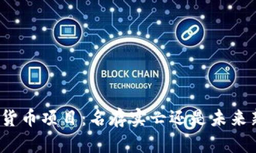 加密货币项目：名存实亡还是未来新生？