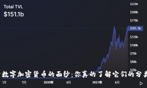 揭开数字加密货币的面纱：你真的了解它们的分类吗？