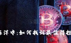 在加密货币的海洋中：如何找到最值得投资的数