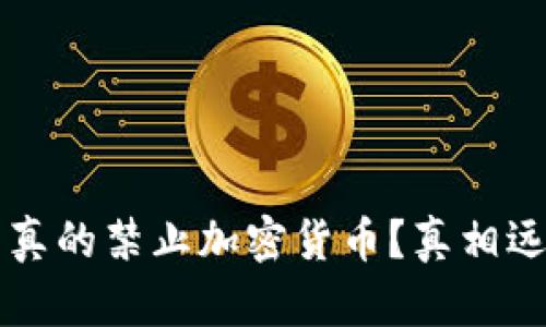 格鲁吉亚是否真的禁止加密货币？真相远比你想的复杂