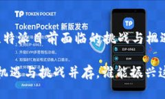 比特派现状: 比特派目前面临的挑战与机遇比特派