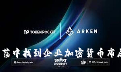 如何在市场动荡中找到企业加密货币布局的成功之道？