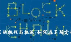 加密货币政策的挑战与机遇：如何在不确定性中