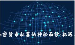 揭开中国加密货币私募的神秘面纱：机遇与挑战