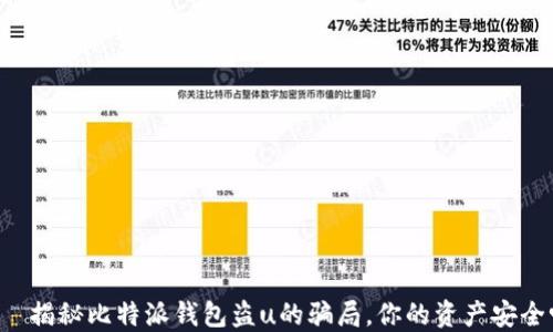 
    揭秘比特派钱包盗u的骗局，你的资产安全吗？