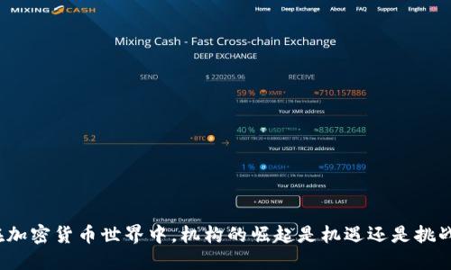 在加密货币世界中，机构的崛起是机遇还是挑战？