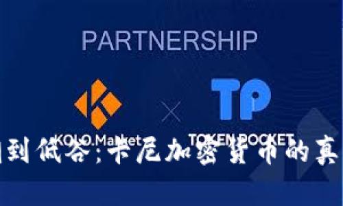 从热潮到低谷：卡尼加密货币的真实现状