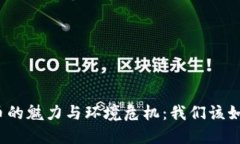 加密货币的魅力与环境危机：我们该如何平衡？