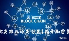 对立语言2024年，你是跟风还是领先？揭开加密货