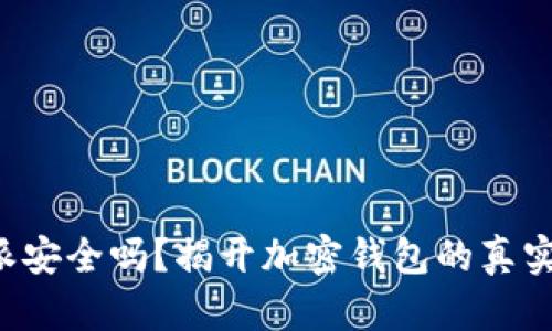 比特派安全吗？揭开加密钱包的真实面纱！