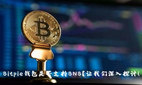 Bitpie钱包是否支持BNB？让我们深入探讨！